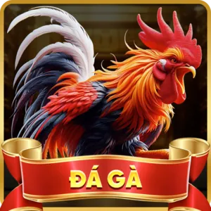 Hỗ trợ khách hàng 8kbe code